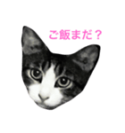 サバ美家族（個別スタンプ：1）