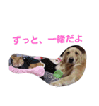 にゃんこの日常生活（個別スタンプ：30）