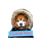 LoveDogDog（個別スタンプ：1）