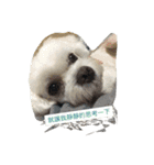 LoveDogDog（個別スタンプ：6）