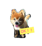 LoveDogDog（個別スタンプ：7）