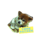LoveDogDog（個別スタンプ：10）