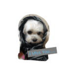 LoveDogDog（個別スタンプ：12）