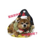 LoveDogDog（個別スタンプ：13）