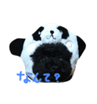 toy poodle RITA（個別スタンプ：2）