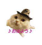 ラブタン＆プリンちゃん（個別スタンプ：3）