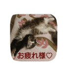 ラブタン＆プリンちゃん（個別スタンプ：7）