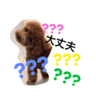 CHIRO Tiny poodle 7（個別スタンプ：8）