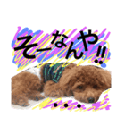 CHIRO Tiny poodle 7（個別スタンプ：11）