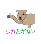 アニマルダジャレスタンプ（個別スタンプ：13）