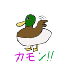 アニマルダジャレスタンプ（個別スタンプ：20）