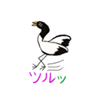 アニマルダジャレスタンプ（個別スタンプ：26）