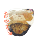 我が家のアイドル♡（個別スタンプ：5）