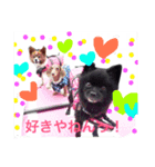 キェポン＆愉快な仲間達（個別スタンプ：2）