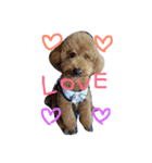 ViVi_LOVE（個別スタンプ：2）