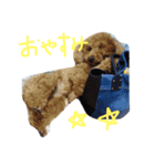 ViVi_LOVE（個別スタンプ：5）