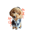 ViVi_LOVE（個別スタンプ：7）