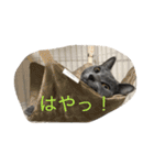 みゅうの日常（個別スタンプ：7）