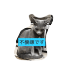 みゅうの日常（個別スタンプ：10）