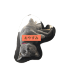 みゅうの日常（個別スタンプ：11）