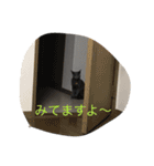 みゅうの日常（個別スタンプ：12）
