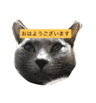 みゅうの日常（個別スタンプ：13）