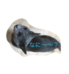 みゅうの日常（個別スタンプ：18）