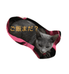 みゅうの日常（個別スタンプ：33）
