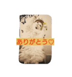 Holmes family No.2（個別スタンプ：2）