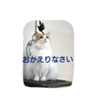 Holmes family No.2（個別スタンプ：5）