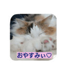 Holmes family No.2（個別スタンプ：14）