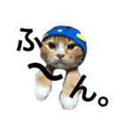 まろ 猫（個別スタンプ：7）