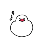 もちぶんちょう（個別スタンプ：31）