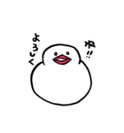 もちぶんちょう（個別スタンプ：38）