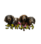 mouse and monkey（個別スタンプ：18）