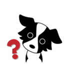 Howar the Border Collie（個別スタンプ：1）