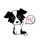Howar the Border Collie（個別スタンプ：2）