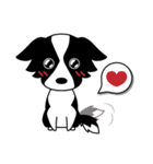 Howar the Border Collie（個別スタンプ：3）