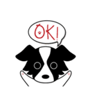 Howar the Border Collie（個別スタンプ：4）