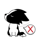Howar the Border Collie（個別スタンプ：5）