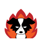 Howar the Border Collie（個別スタンプ：13）