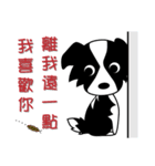 Howar the Border Collie（個別スタンプ：17）