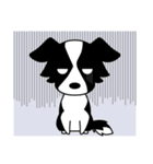 Howar the Border Collie（個別スタンプ：18）
