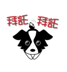 Howar the Border Collie（個別スタンプ：23）