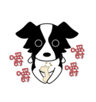 Howar the Border Collie（個別スタンプ：24）