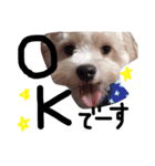おもちくんです。（個別スタンプ：1）