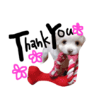 おもちくんです。（個別スタンプ：14）