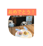 labradornico7（個別スタンプ：27）