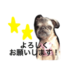 CHACHA！！！！！（個別スタンプ：1）