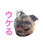 CHACHA！！！！！（個別スタンプ：2）